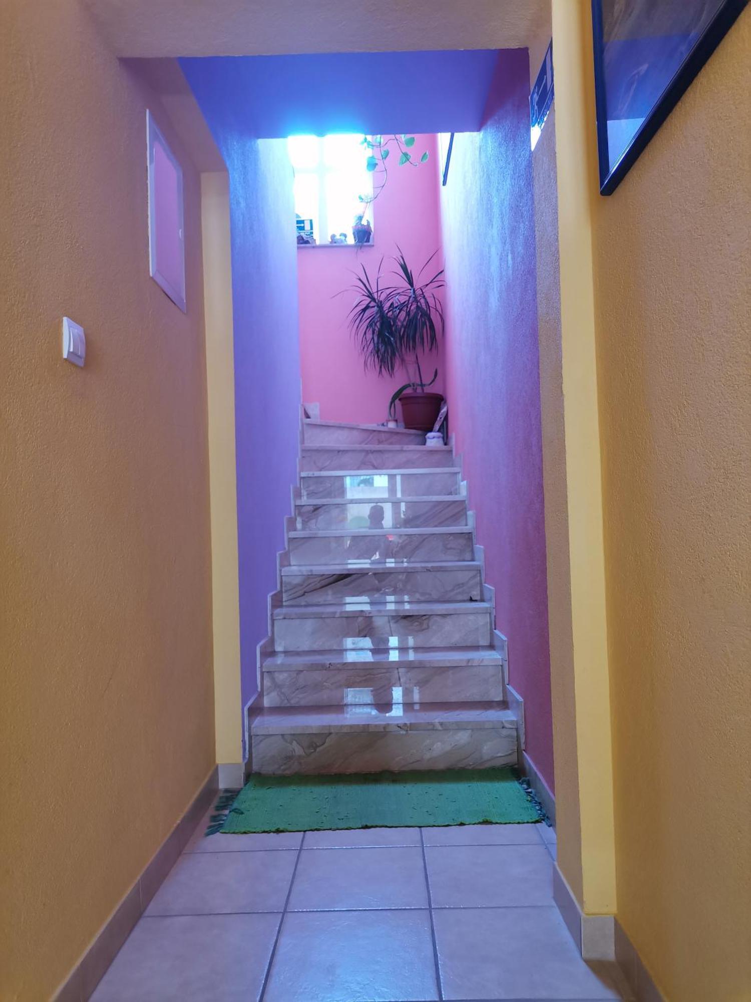 Villa Mia מאקרסקה מראה חיצוני תמונה