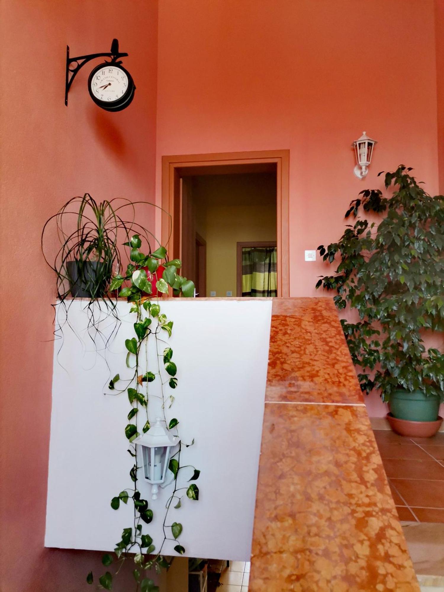 Villa Mia מאקרסקה מראה חיצוני תמונה