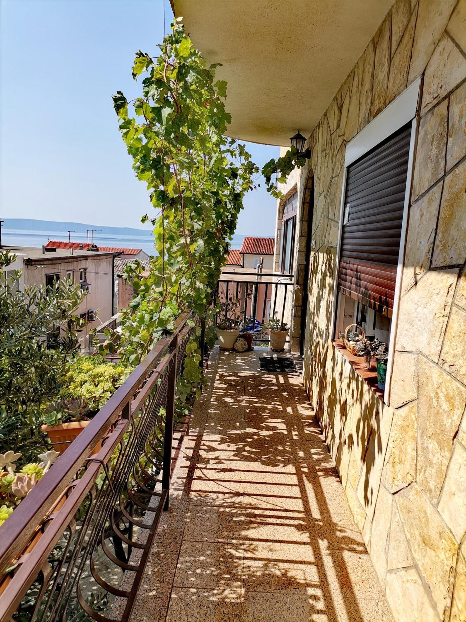 Villa Mia מאקרסקה מראה חיצוני תמונה